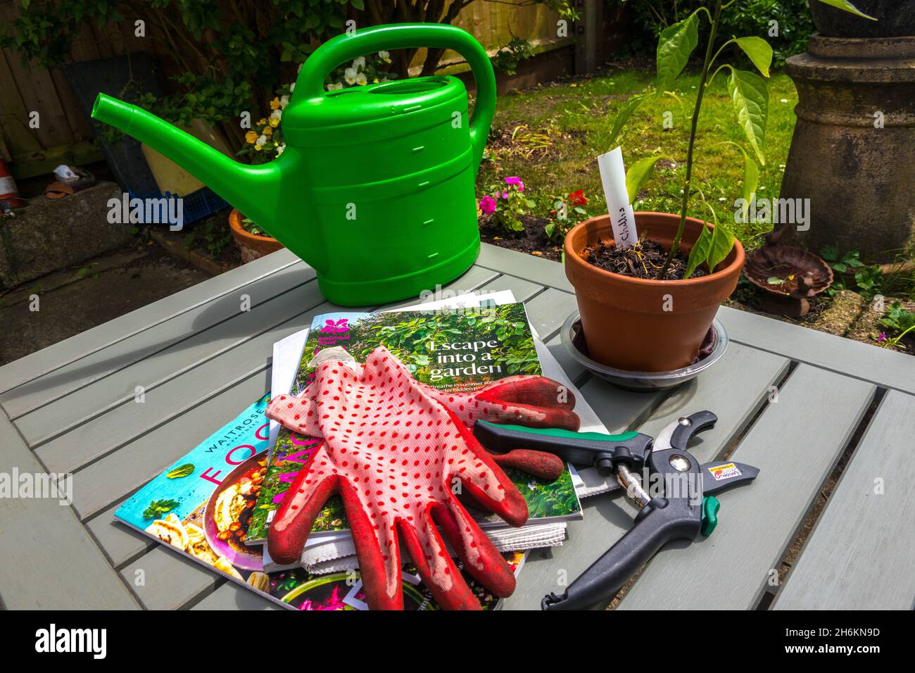 Lovely set up of garden equipment, magazines, gloves, watering can, cutters, a chili plant growing in a plant pot England Stock Photo