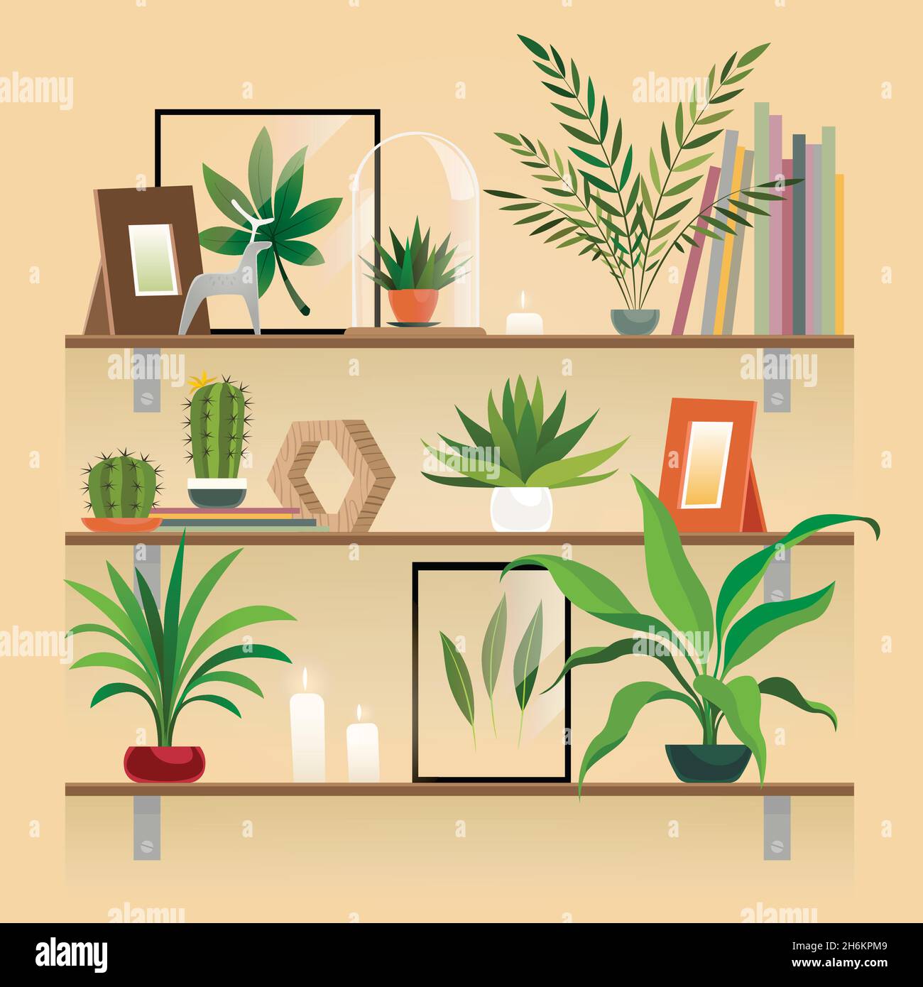 Plants on shelf. Houseplants in pot on shelves. Indoor garden potted planting, home decoration elements vector. Stock Vector
