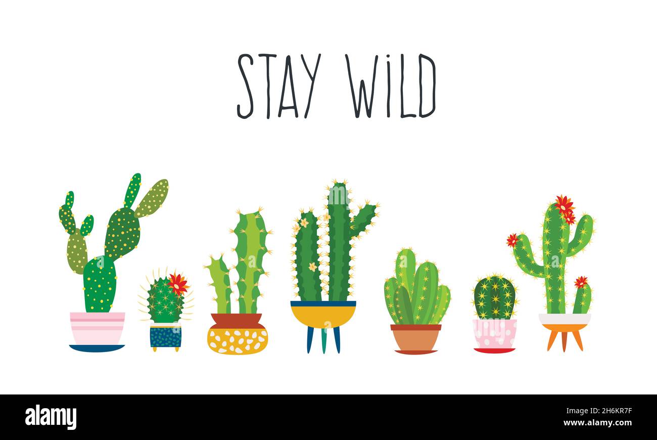 Cactus poster. Succulents cacti exotic cactuses plants sketch trendy typography slogan, flower woman fashion design Stock Vector