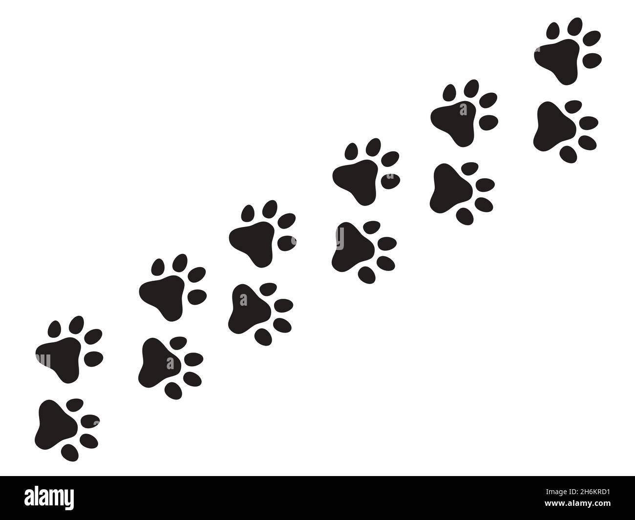 Cats paw trail. Footprints wolf cat dog, puppy trails nature print vector pattern Stock Vector