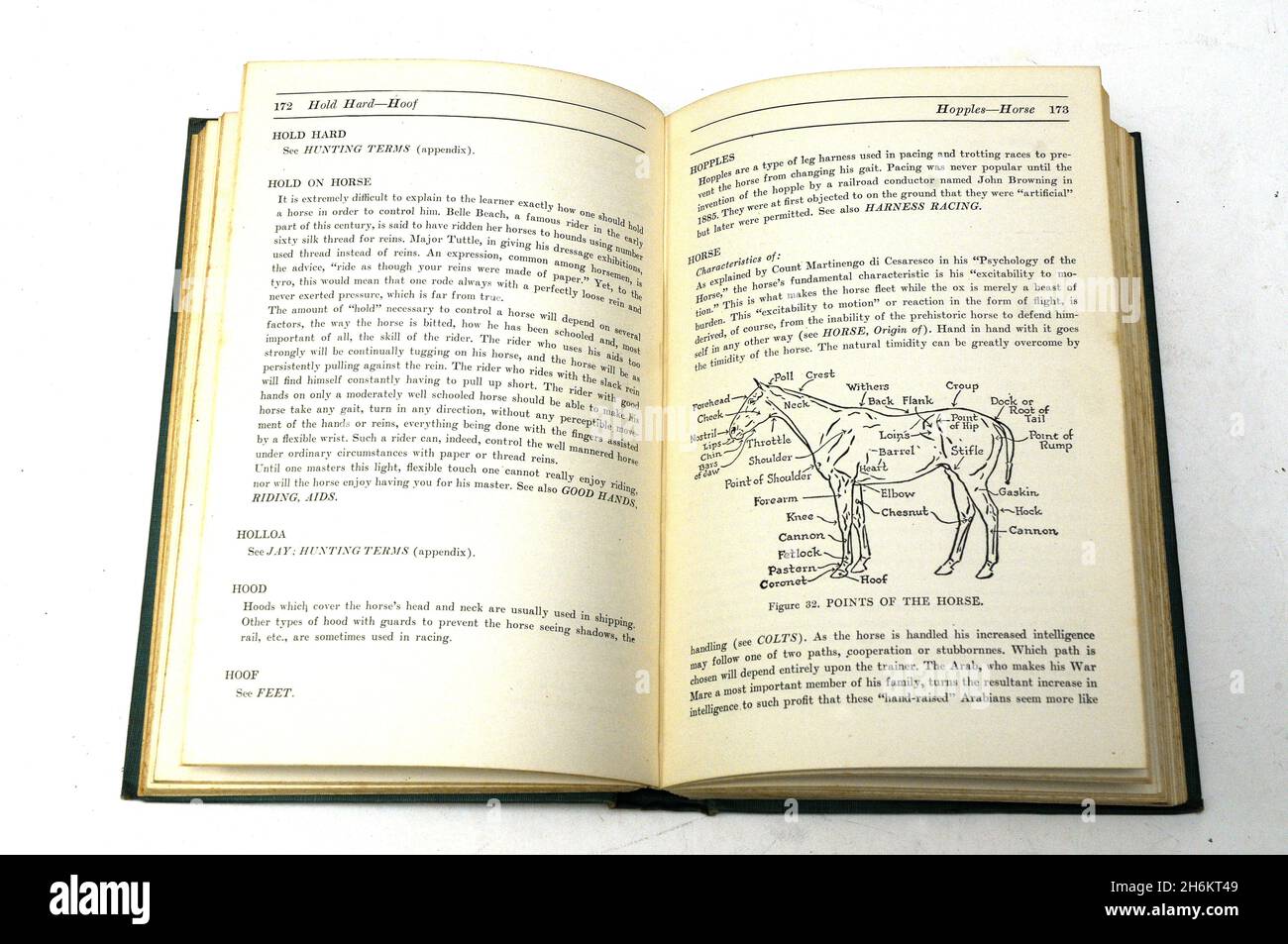 old horses book , the horseman enciclopedia by Margret Cabell Self 1946 Stock Photo