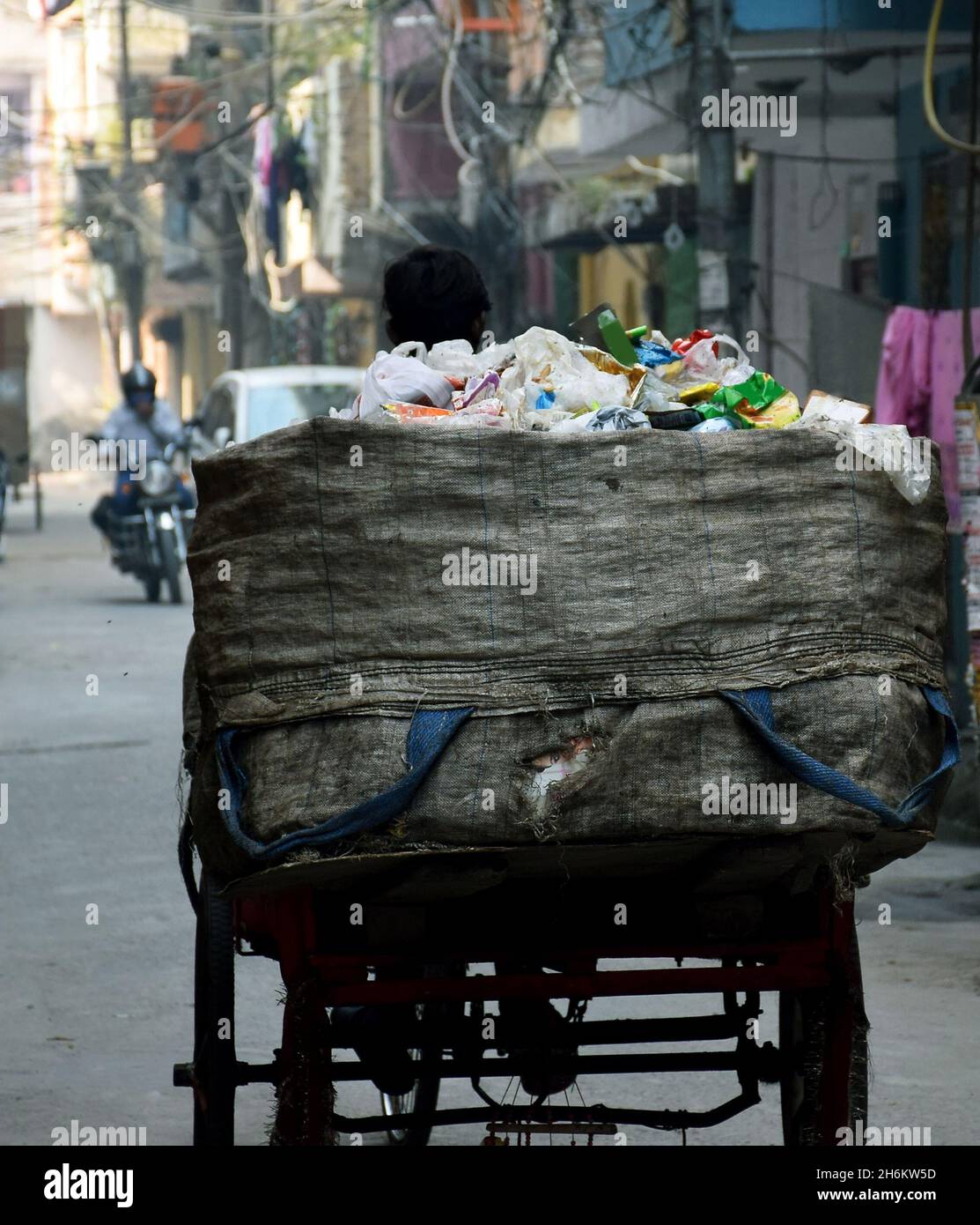 Back shot of an Indian rag picker with his cart Stock Photo Alamy