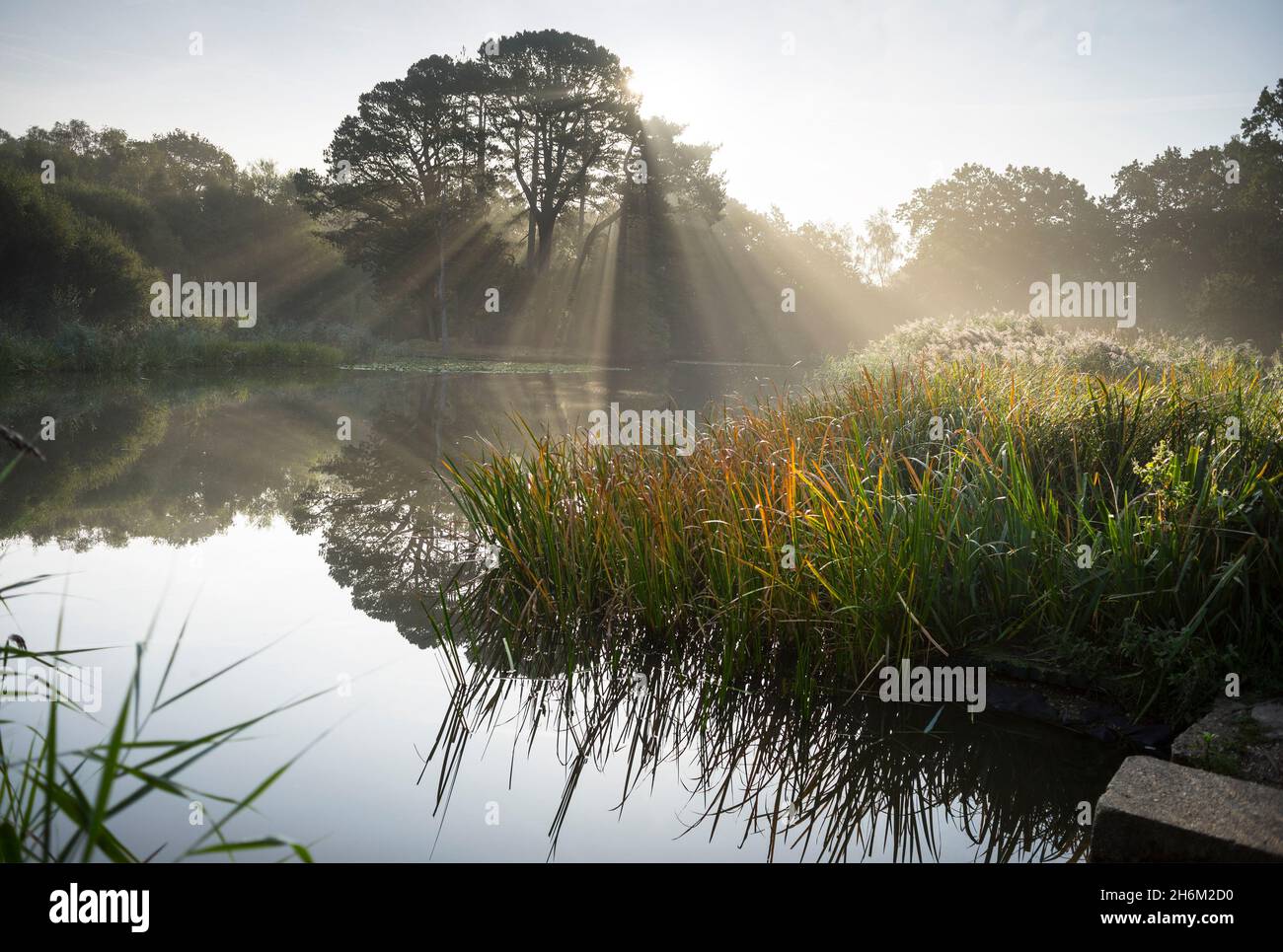 The Ornamental Lake on Southampton Common. Southampton, England Stock Photo Alamy