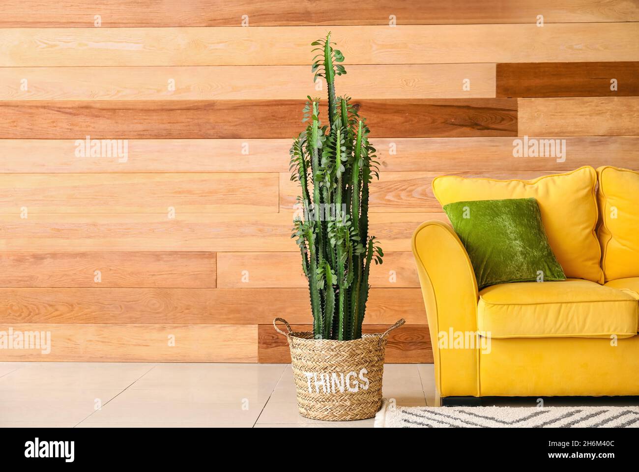 Interior of modern living room with houseplant and sofa Stock Photo - Alamy