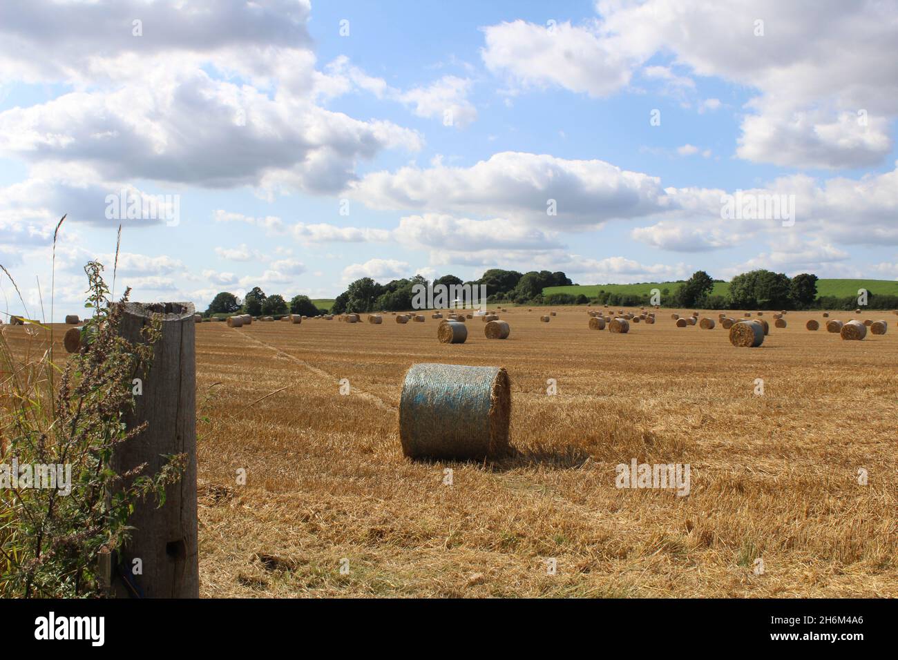 Straw crop hires stock photography and images Alamy