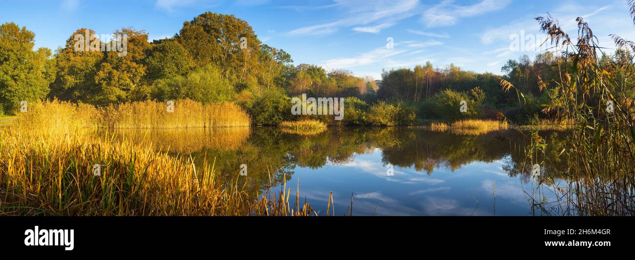 The Ornamental Lake on Southampton Common in autumn. Southampton, England. Stock Photo