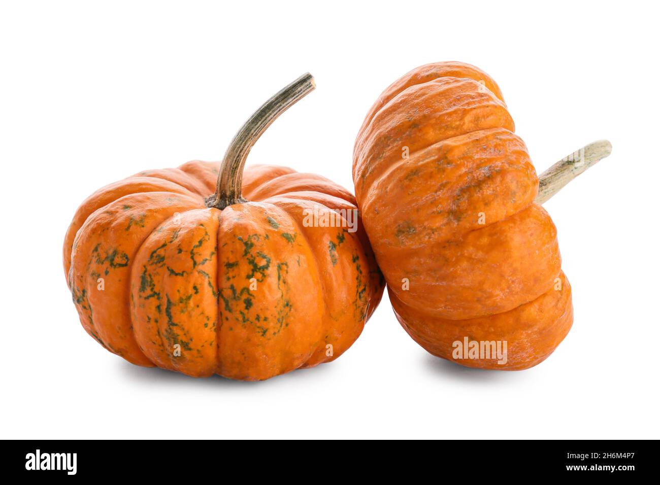 Fresh pumpkins isolated on white background Stock Photo - Alamy