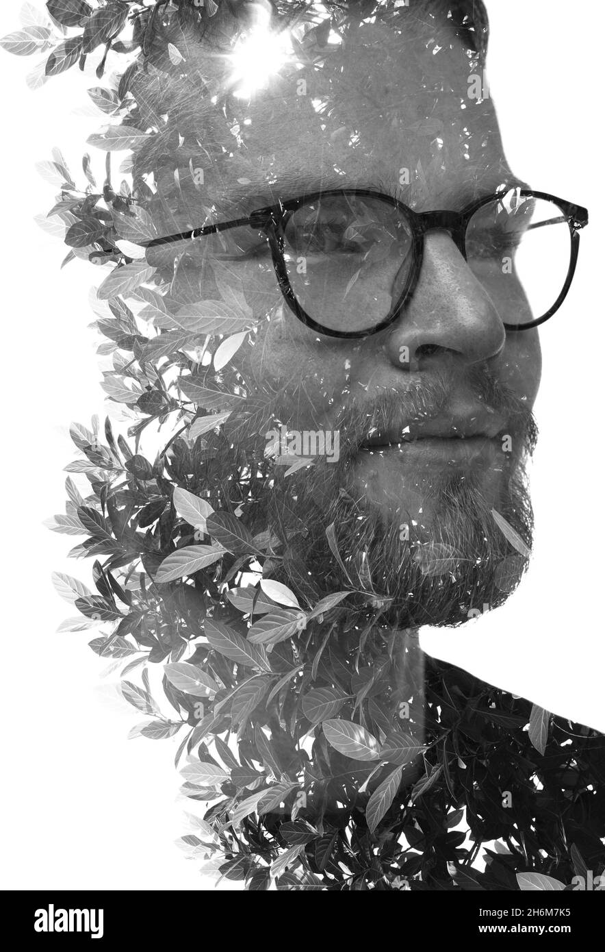 A double exposure portrait of a young man combined with foliage. Stock Photo