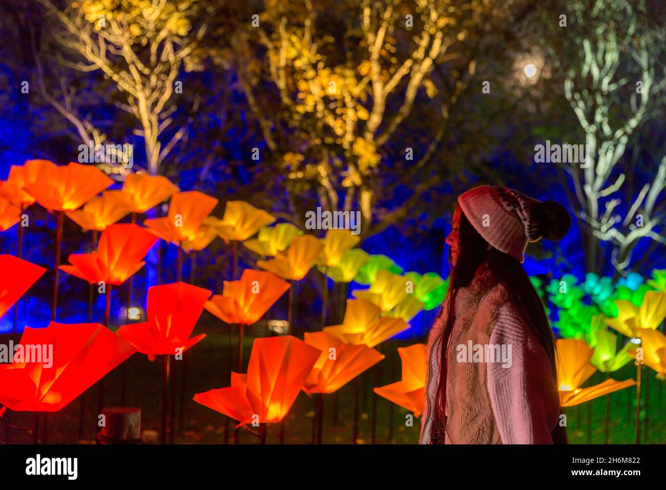 Kew Gardens Christmas 2022 Kew Gardens Christmas Lights Display High Resolution Stock Photography And  Images - Alamy