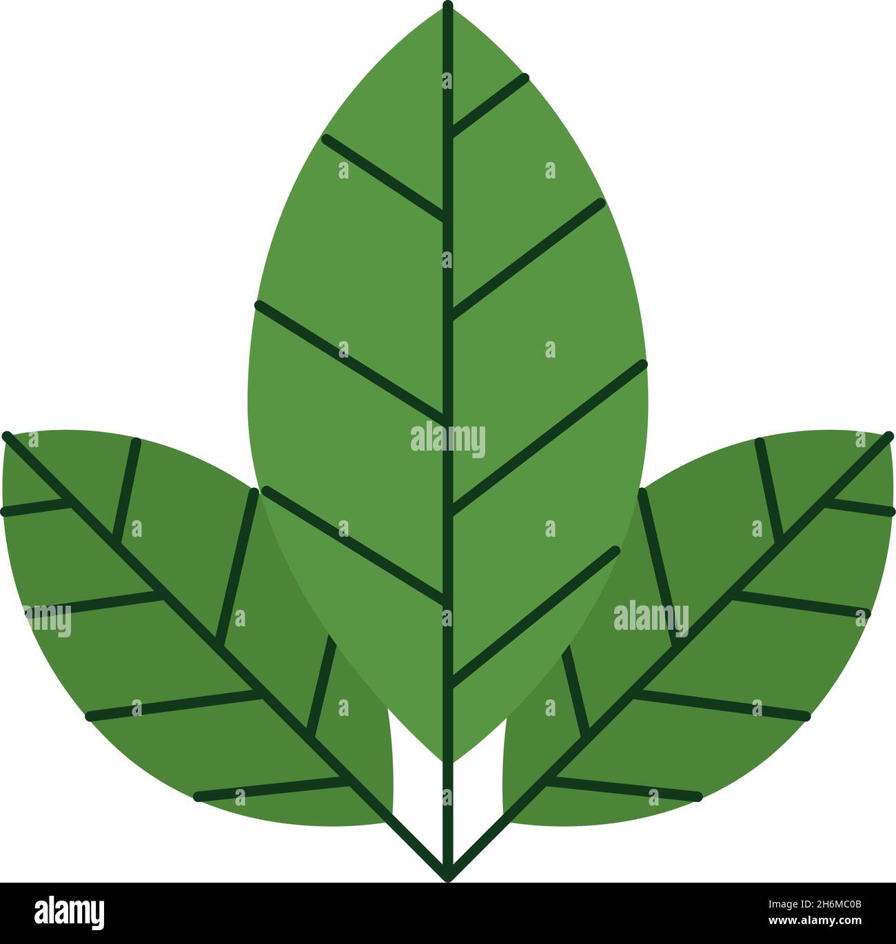 green leaves icon on white background Stock Vector Image & Art - Alamy