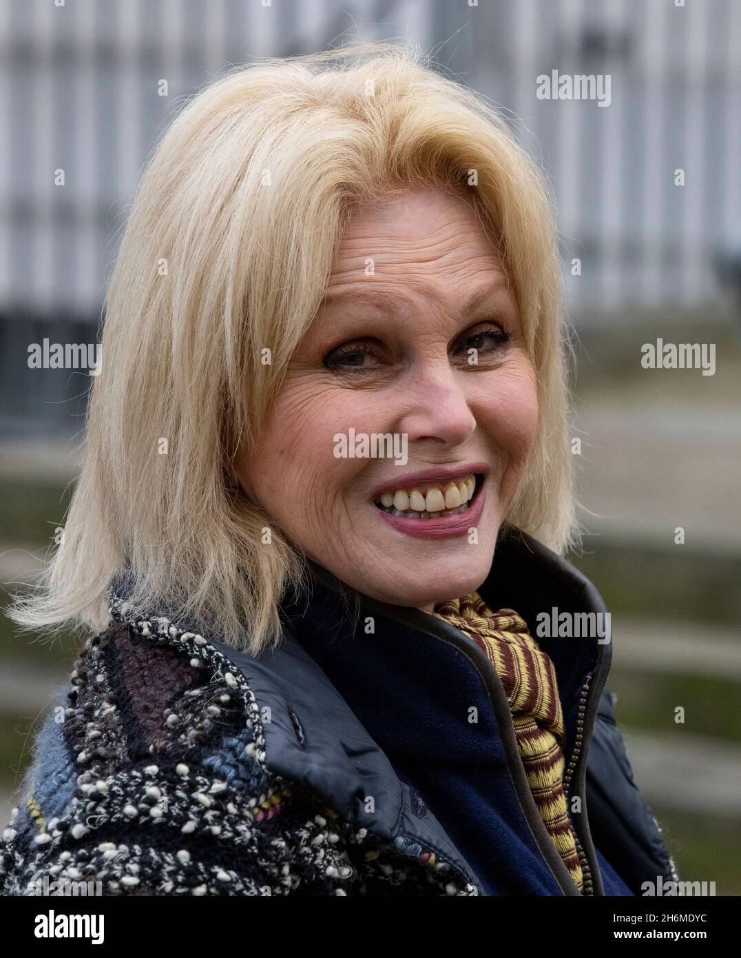 Actress, Environmentalist and campaigner, Joanna Lumley, in Westminster to promote a campaign to save the oceans. Stock Photo