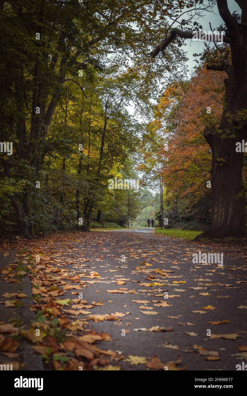 Southampton Common Park during autumn, Southampton, Hampshire, England, UK Stock Photo