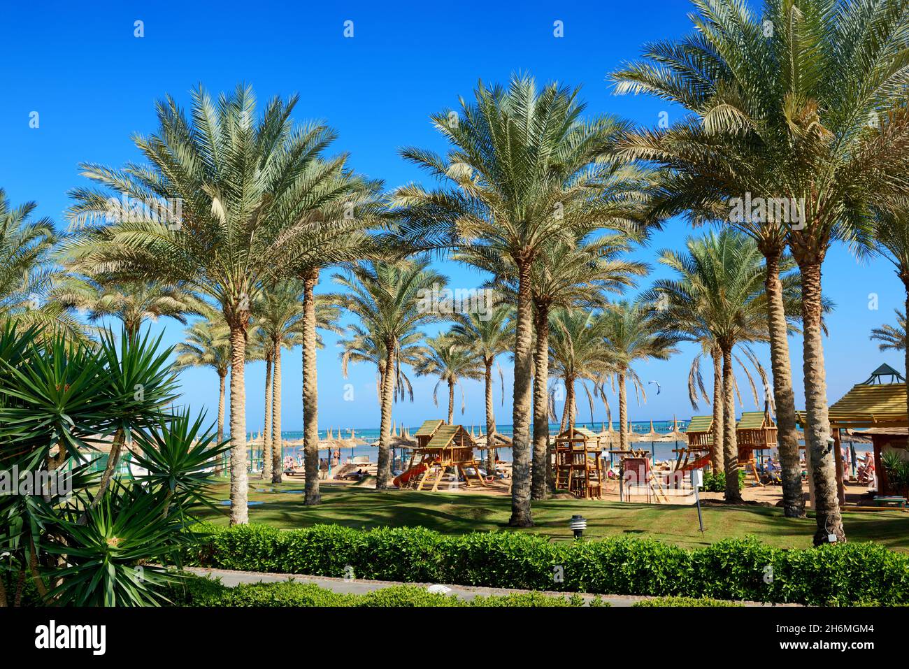 The beach of luxury hotel with palm trees, Sharm el Sheikh, Egypt Stock Photo