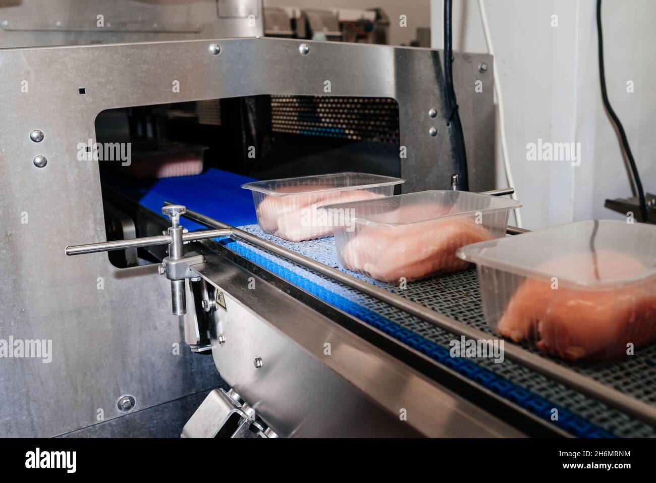 Meat processing plant.Chicken fillet production line .Automated