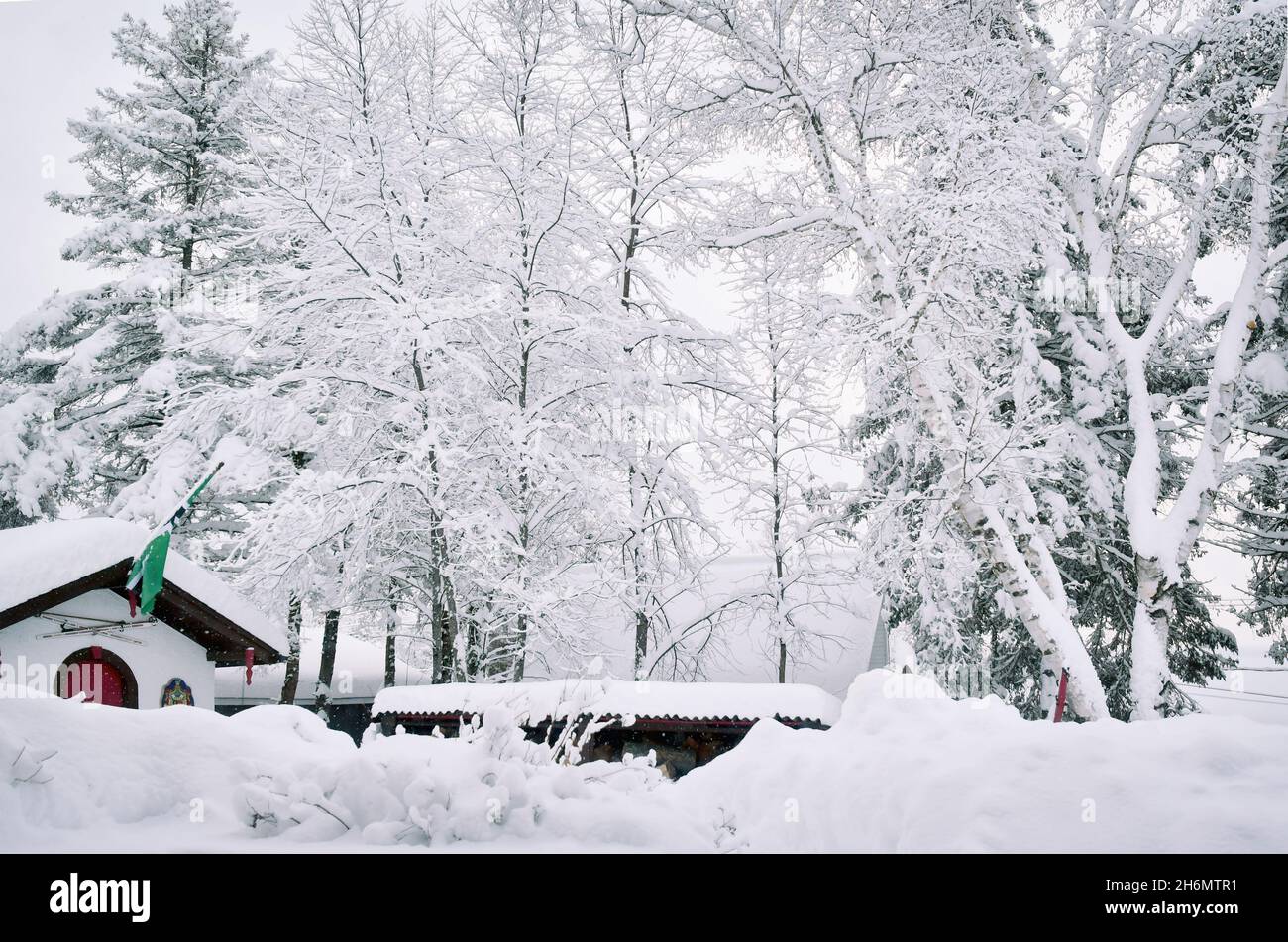our backyard in a snowstorm Stock Photo - Alamy