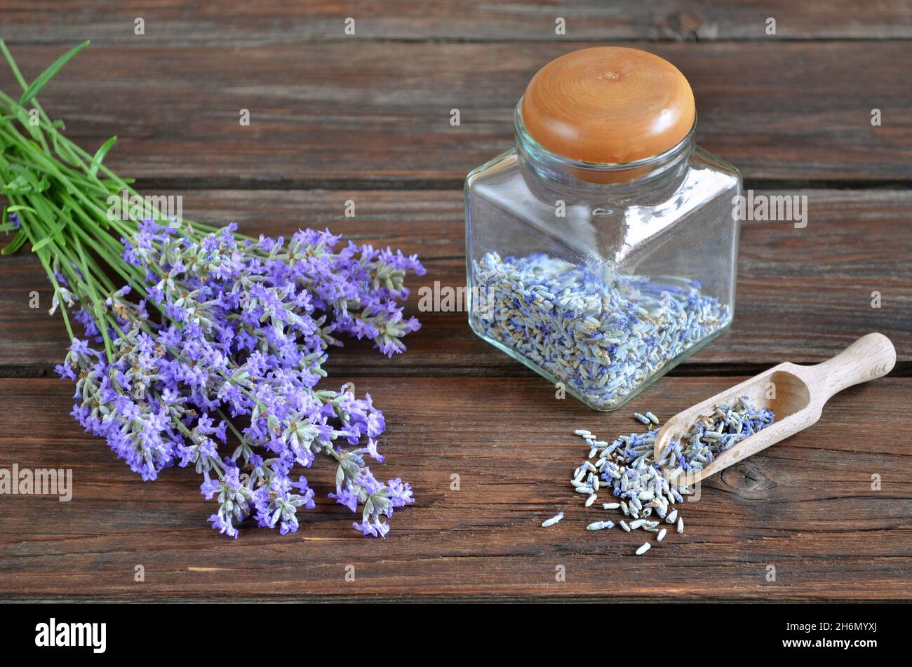 Bouquet of fresh lavender near to dry lavender in a glass jar on a wooden table. Stock Photo