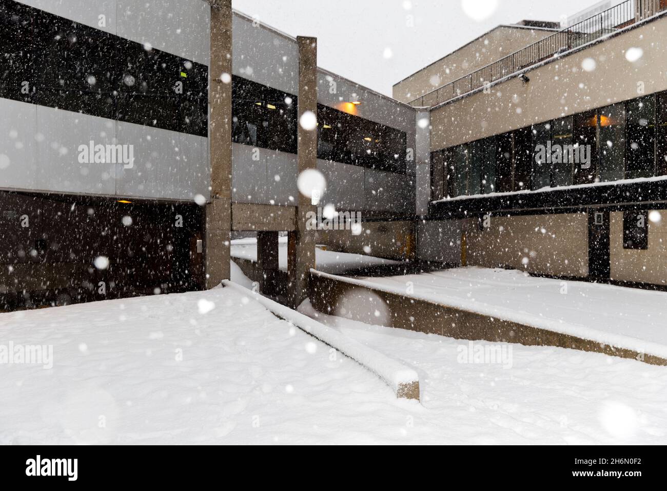 Snow falls by a walkway through the Estuaire condo complex in Longueuil
