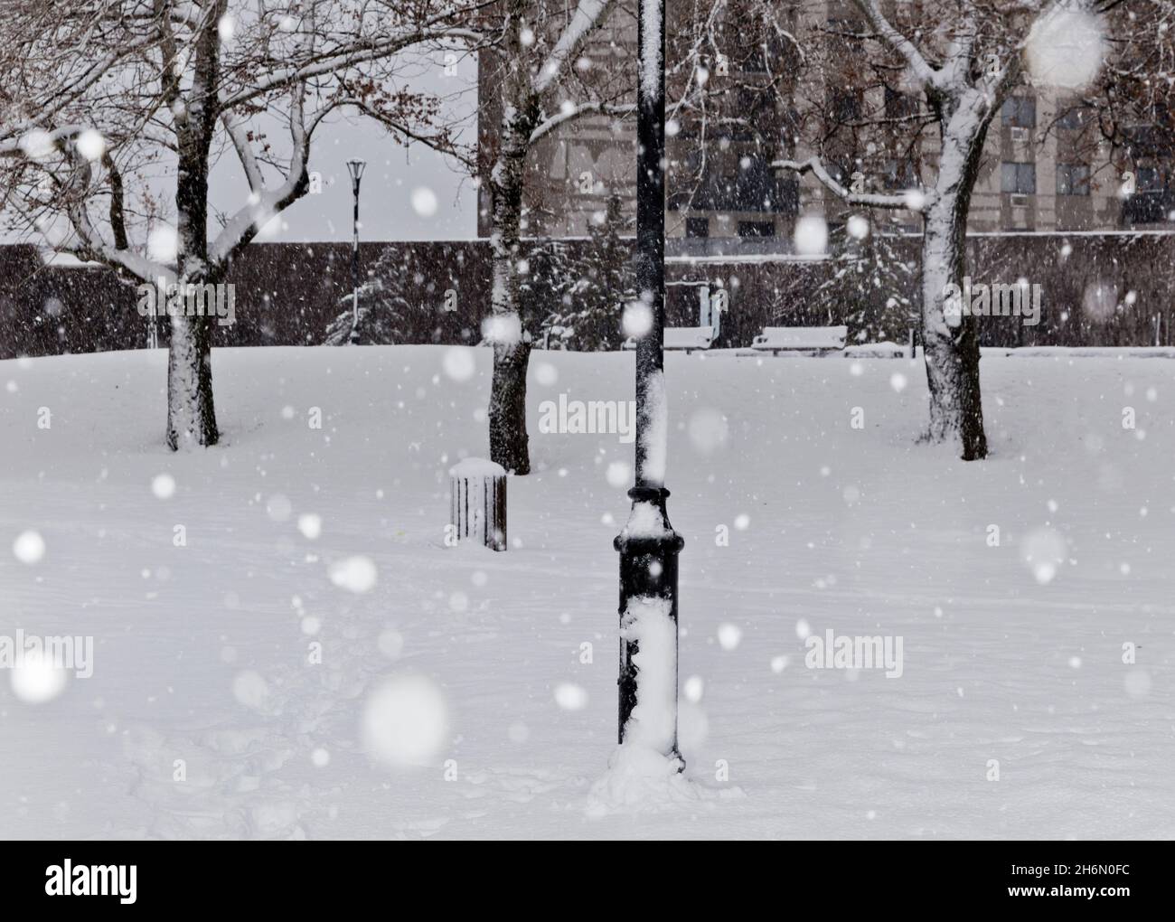 Snow falls in a park in Longueuil, Quebec, Canada Stock Photo Alamy