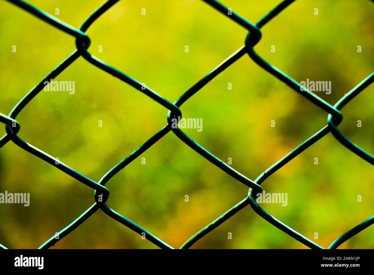 Detail of intertwined metal fence with green fence background Stock Photo