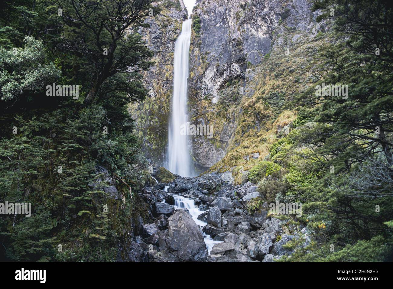 Riverside wild hi-res stock photography and images - Alamy