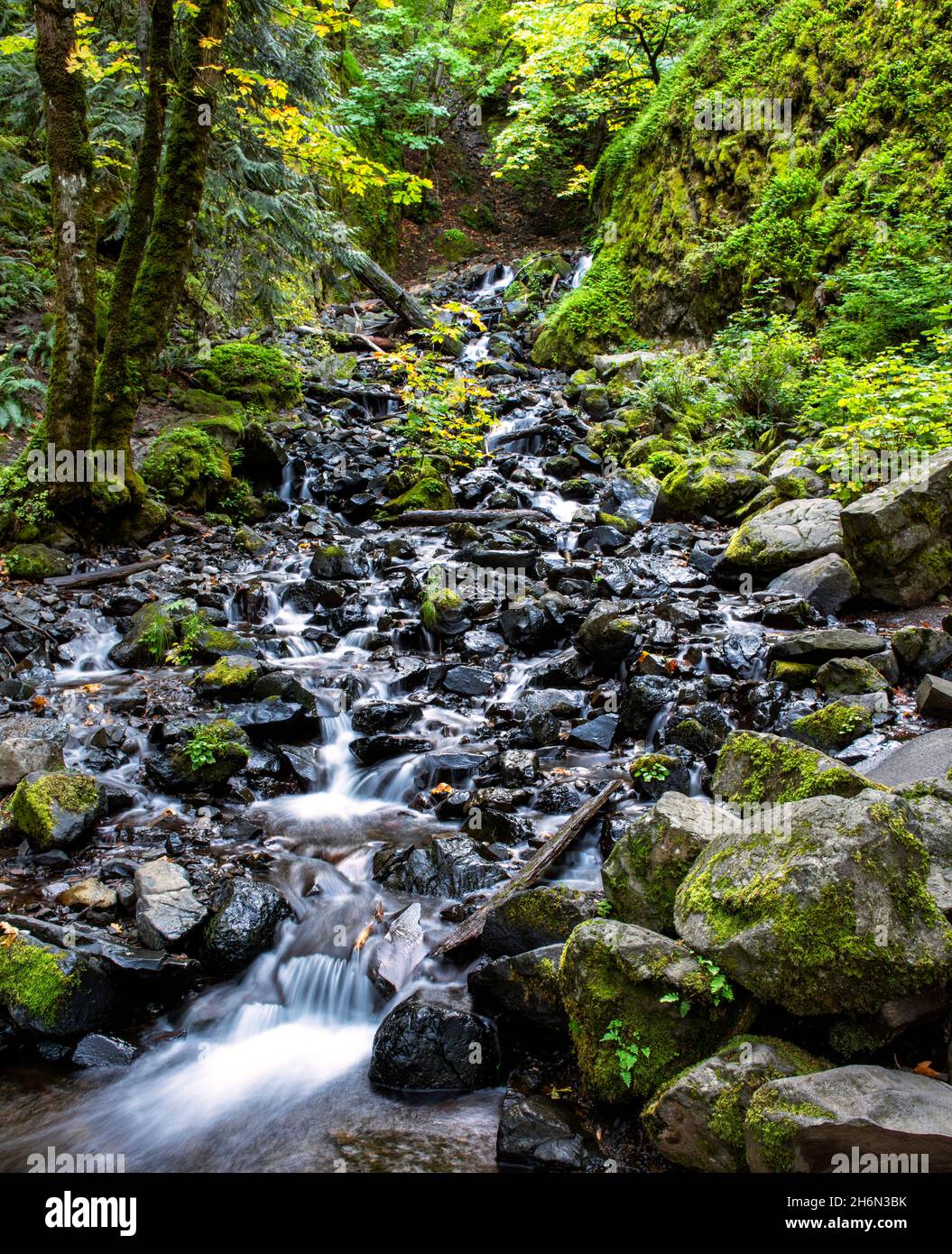 This is Starvation Creek Falls in the Columbia Gorge in Oregon.  It was taken in early Autumn. Stock Photo