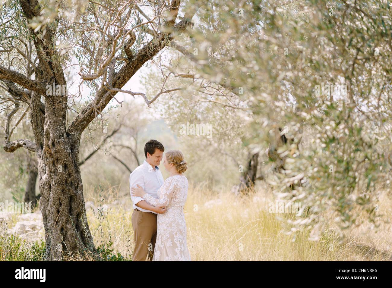 Bride and groom hug while standing in an olive grove Stock Photo - Alamy