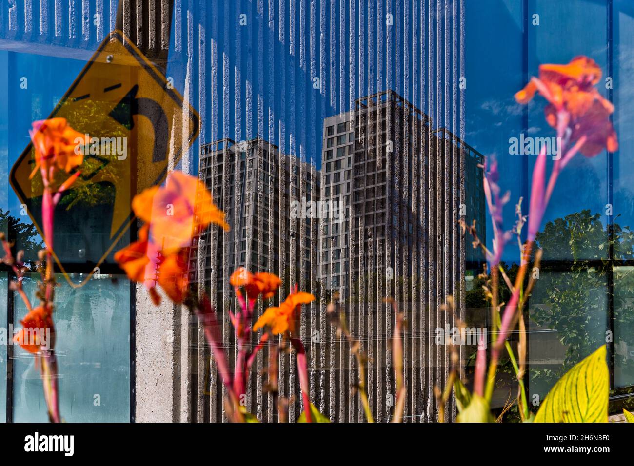 Buildings and flowers in downtown Montreal, Quebec, Canada Stock Photo