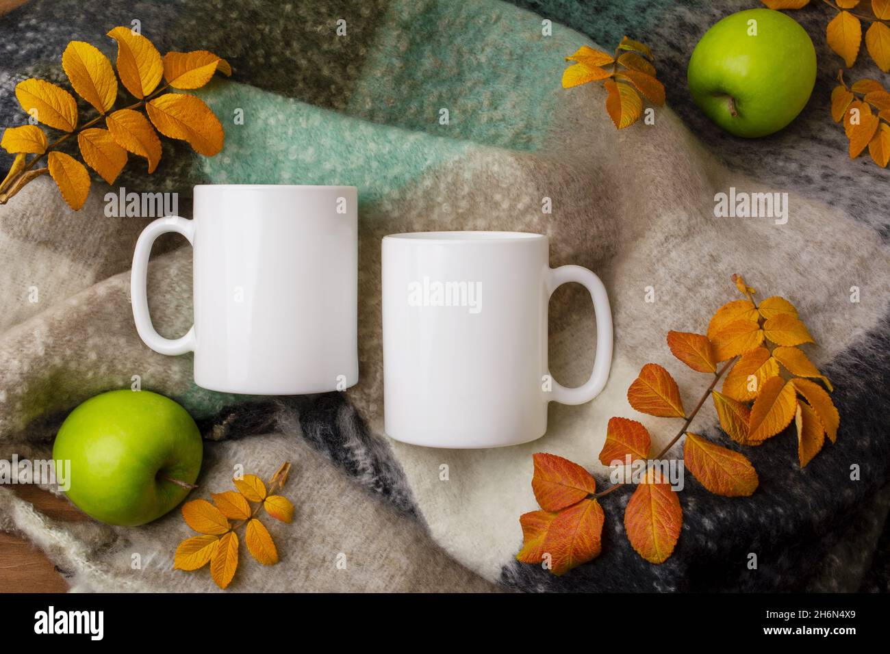 Two coffee white mugs mockup with cozy woolen blanket, green apples and fall yellow leaves. Empty mug mock up for design promotion, styled template Stock Photo