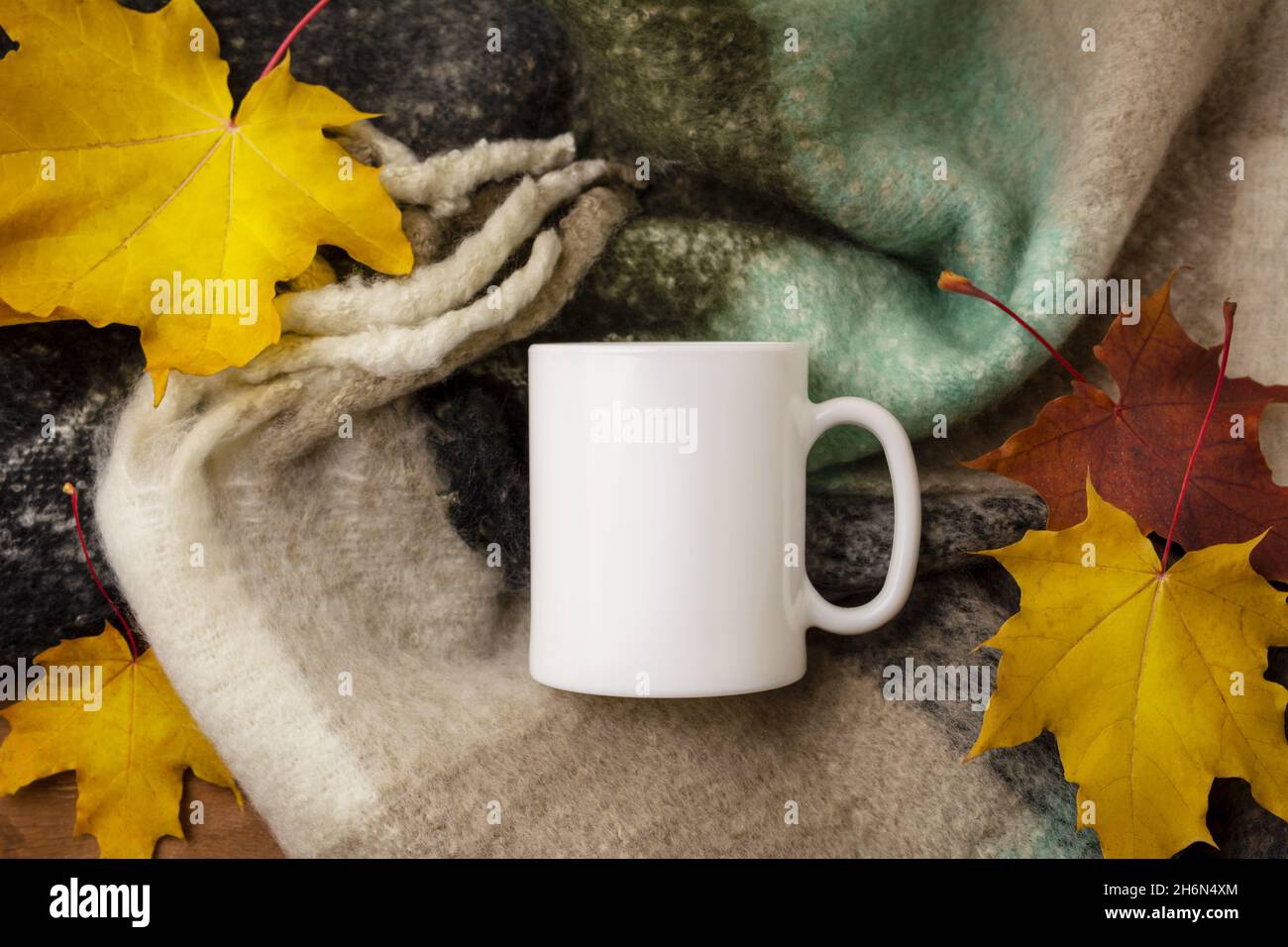 White coffee mug mockup with cozy woolen scarf and fall maple leaves.  Empty mug mock up for design promotion, styled template Stock Photo