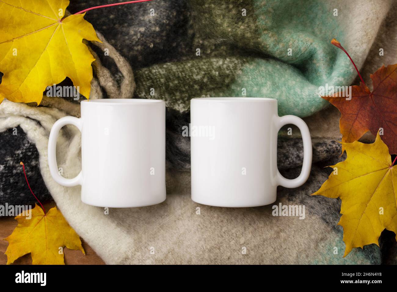 Falling Mug Empty Two coffee white mugs mockup with cozy woolen scarf and fall maple ...