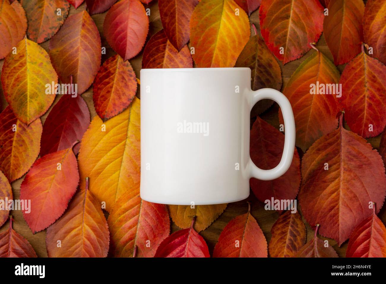 Falling Mug Empty White coffee mug on the red yellow fall leaves background mockup. Empty ...