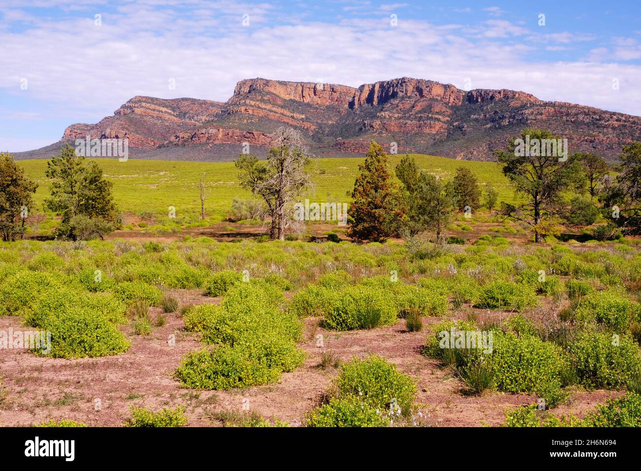 The Flinders Ranges in South Australia Stock Photo Alamy