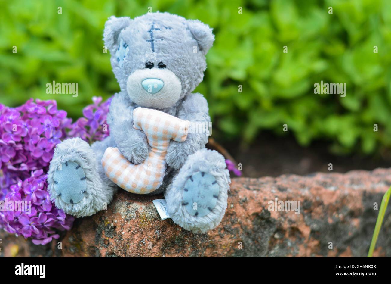 Teddy bear toy sitting on a stone Stock Photo