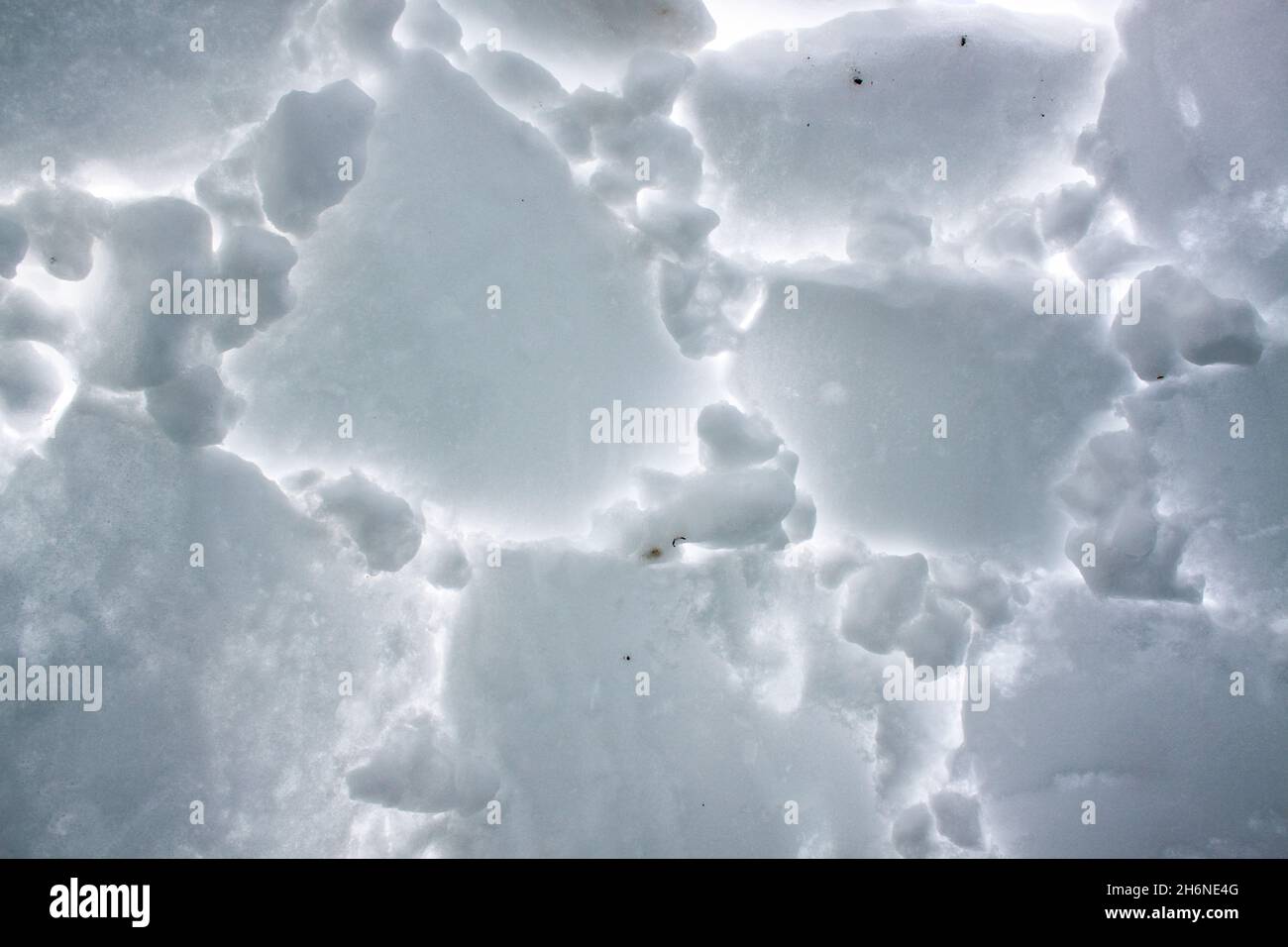 Detail of the inside structure of a hand made igloo with snow in winter Stock Photo