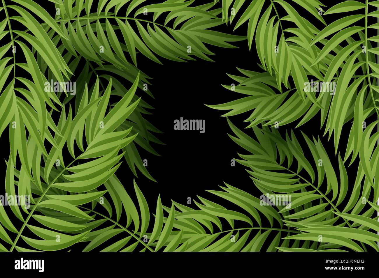 green leaf of palm tree on white background Stock Vector Image & Art ...