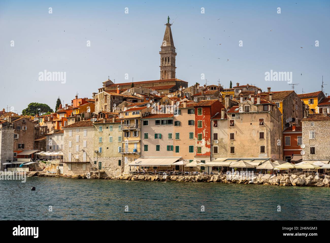 Rovinj city hi-res stock photography and images - Alamy