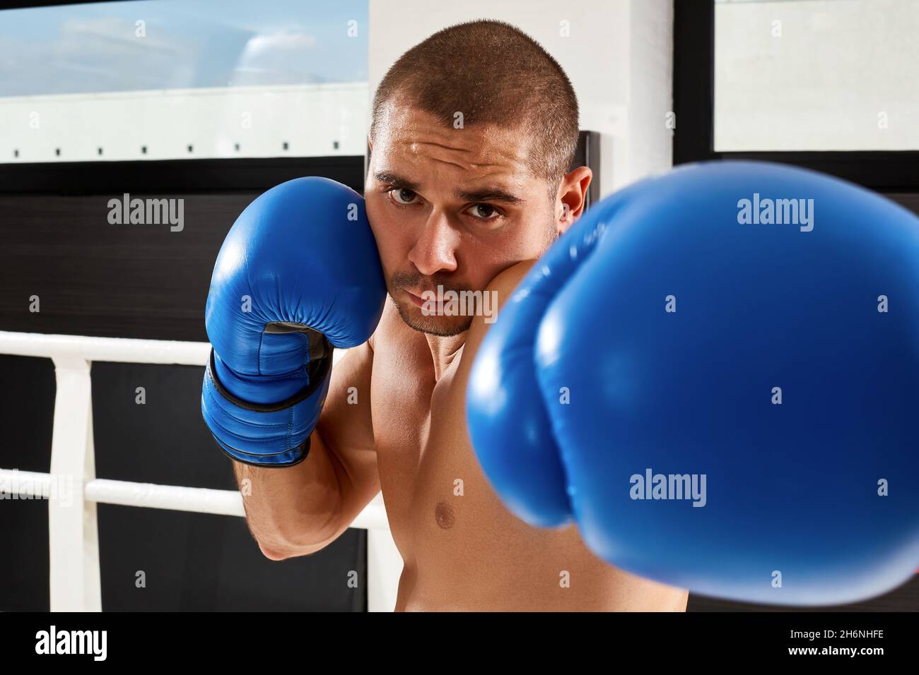 Boxer in blue gloves Stock Photo
