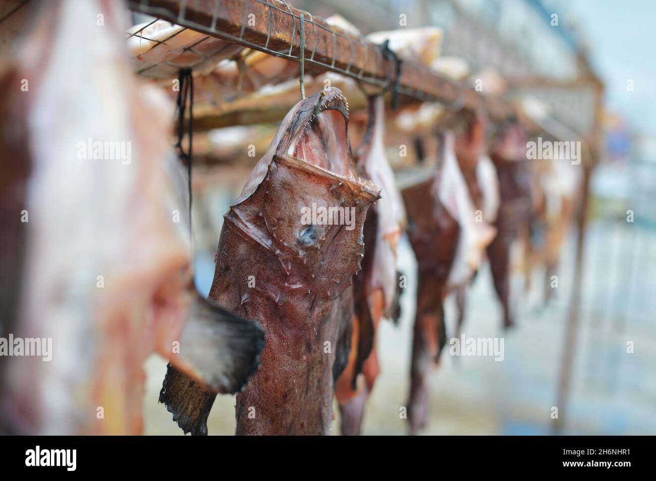 Qingdao, Qingdao, China. 17th Nov, 2021. During the autumn and winter seasons, fishermen in Laoshan District, Qingdao City, Shandong Province will pickle and dry some marine fish into dried fish with local characteristics to increase their income. (Credit Image: © SIPA Asia via ZUMA Press Wire) Stock Photo