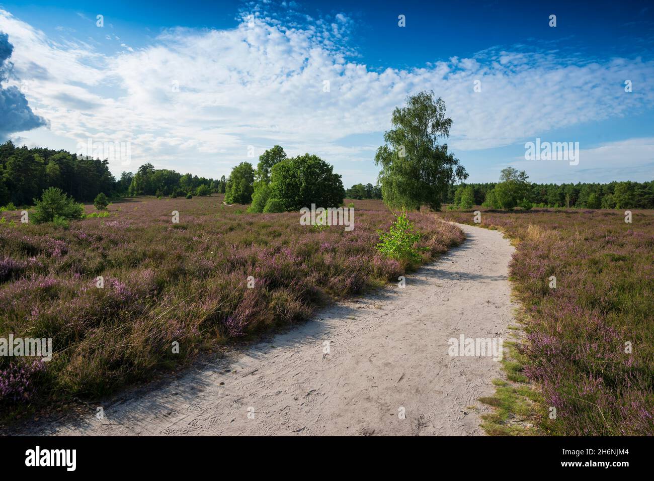 Mueden an der oertze hires stock photography and images Alamy