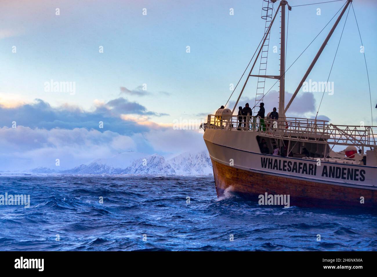 Whale safari hi-res stock photography and images - Alamy