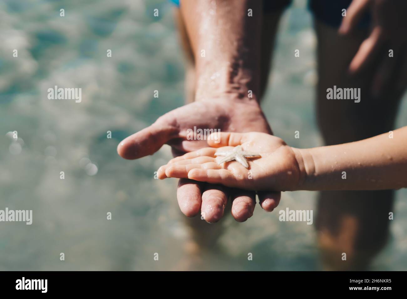 E Father hold son hand. Child show starfish lie on open palm. Close up wet drops skin, thumb finger. Sea tourism, care about marine fauna nature world Stock Photo