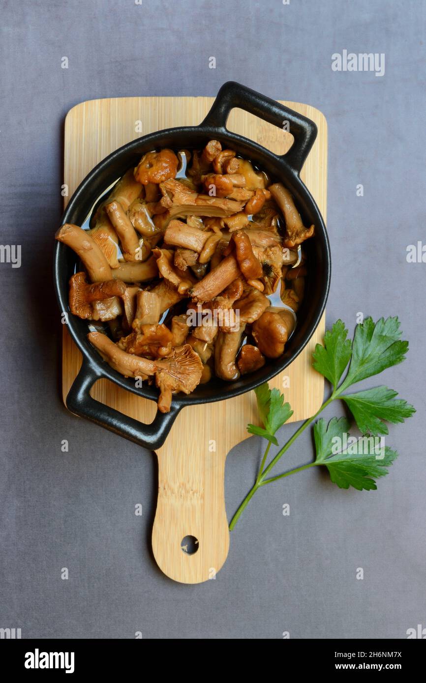 Pickled chanterelles (Cantharellus cibarius) in pot Stock Photo Alamy