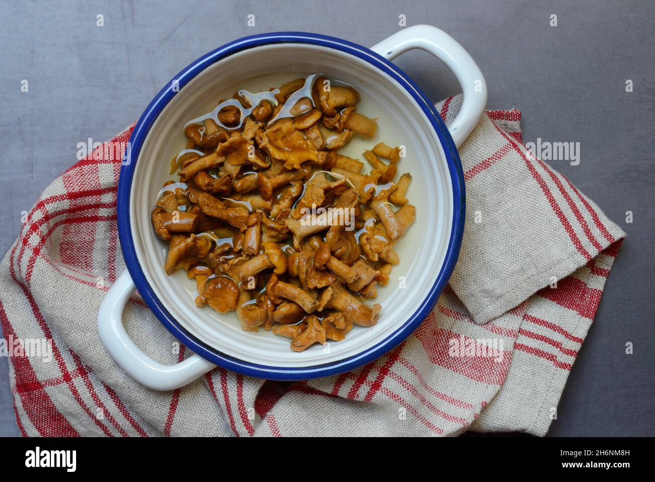 Pickled chanterelles (Cantharellus cibarius) in bowl Stock Photo Alamy