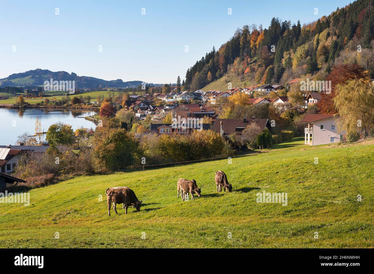 Autumn atmosphere at Hopfensee, Hopfen am See is a Kneipp and climatic health resort, Allgaeu, Bavaria, Germany Stock Photo