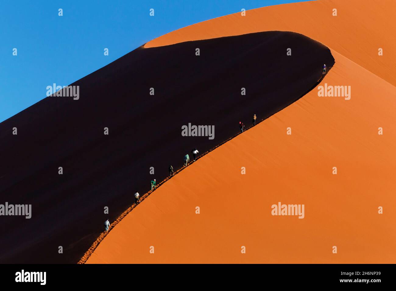 Tourists climb the highest dune 45 at sunset. Sossusvlei, Dune 45, Namib Naukluft, Namibia Stock Photo