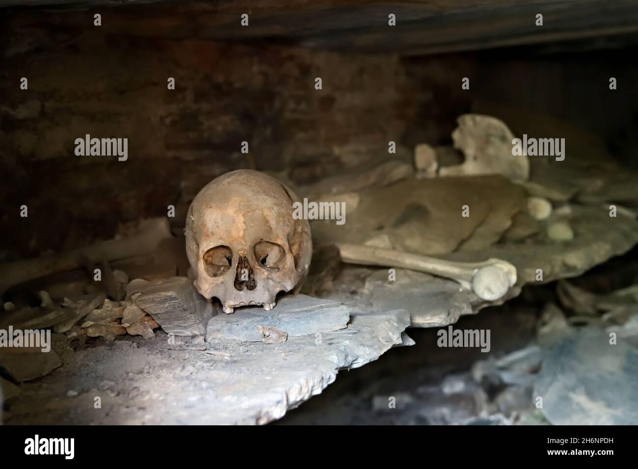 Human skulls in necropolis in Tsoy-Pede (Choi-pede), abandoned ancient city-burial. Dead city. Chechen Republic. Itum-Kale district. The Argun gorge. Stock Photo