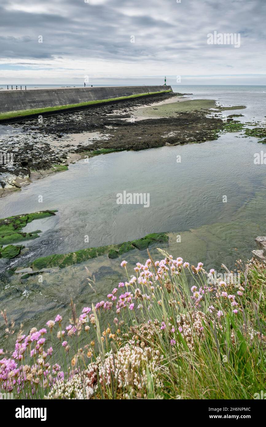 Aberystwyth harbour entrance Ceredigion mid Wales Stock Photo Alamy
