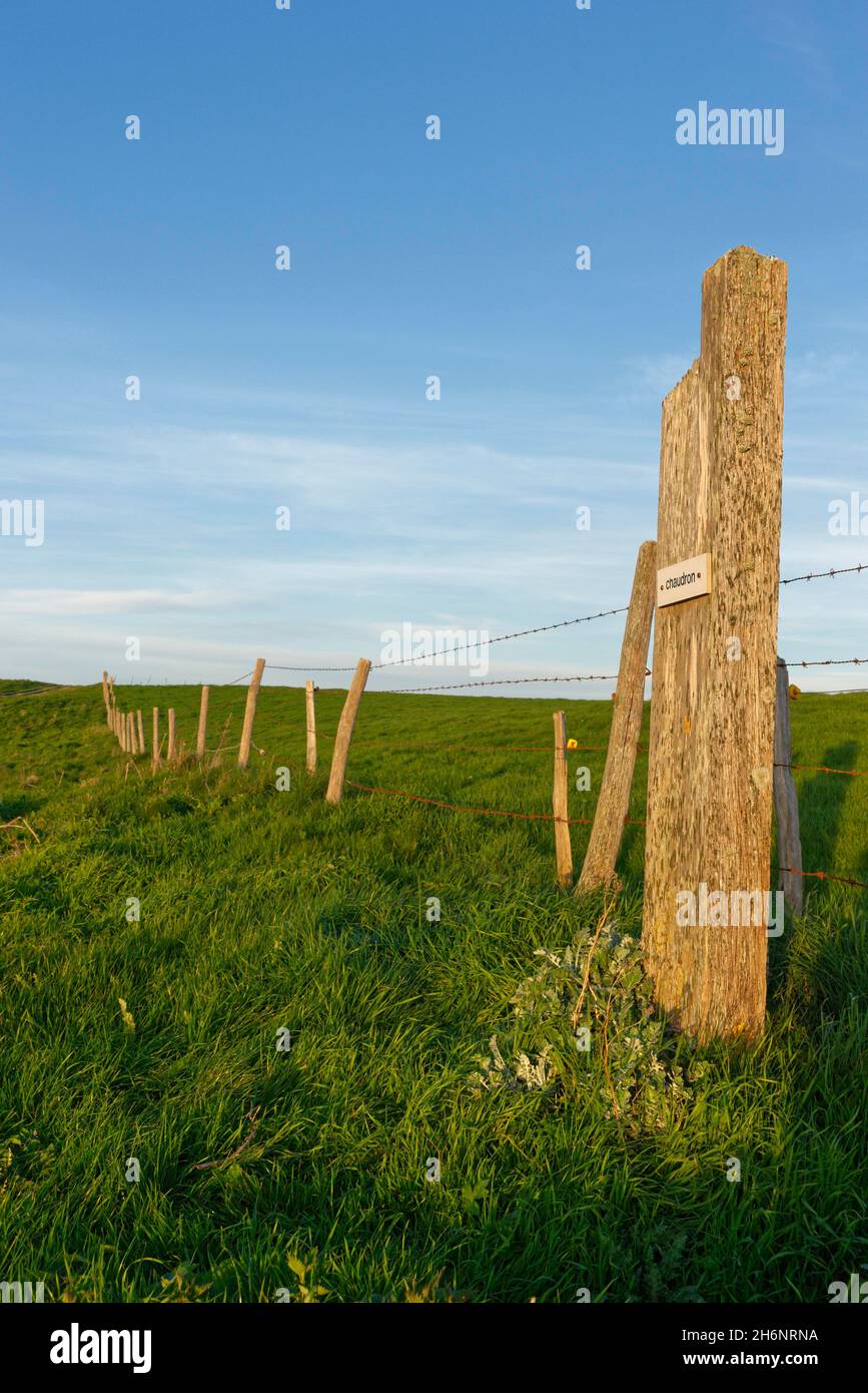 Pasture fence, Etretat, Normandy, France Stock Photo Alamy