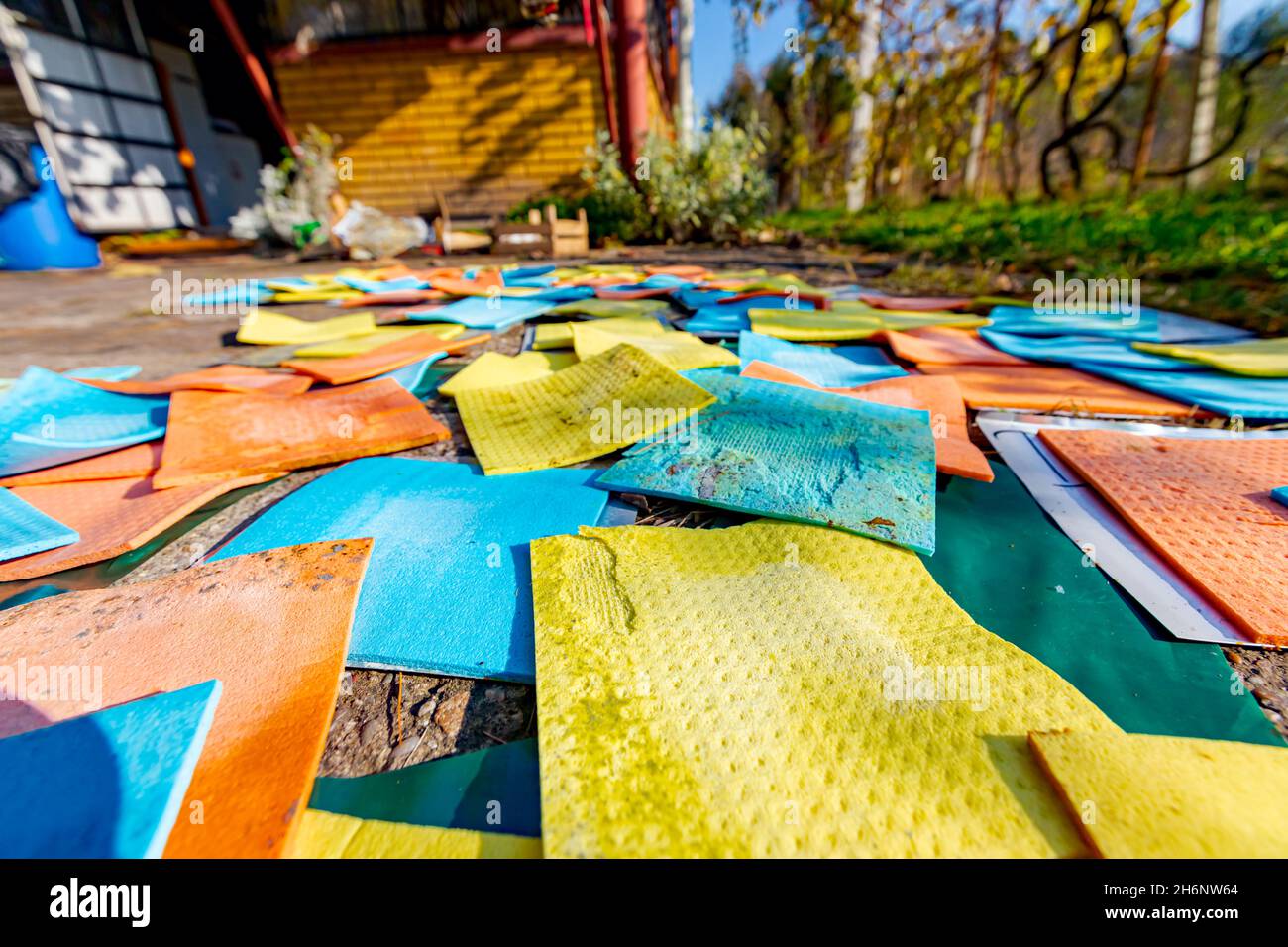 Disposable cleaning cloths hi-res stock photography and images - Alamy