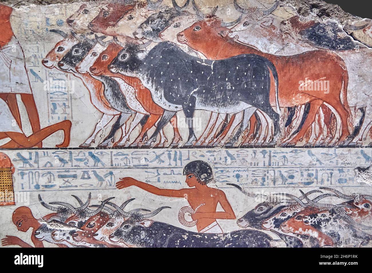 Ancient Egyptian wall art tomb paintings, Tomb of Nebamun